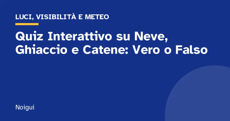Quiz Interattivo su Neve, Ghiaccio e Catene: Vero o Falso