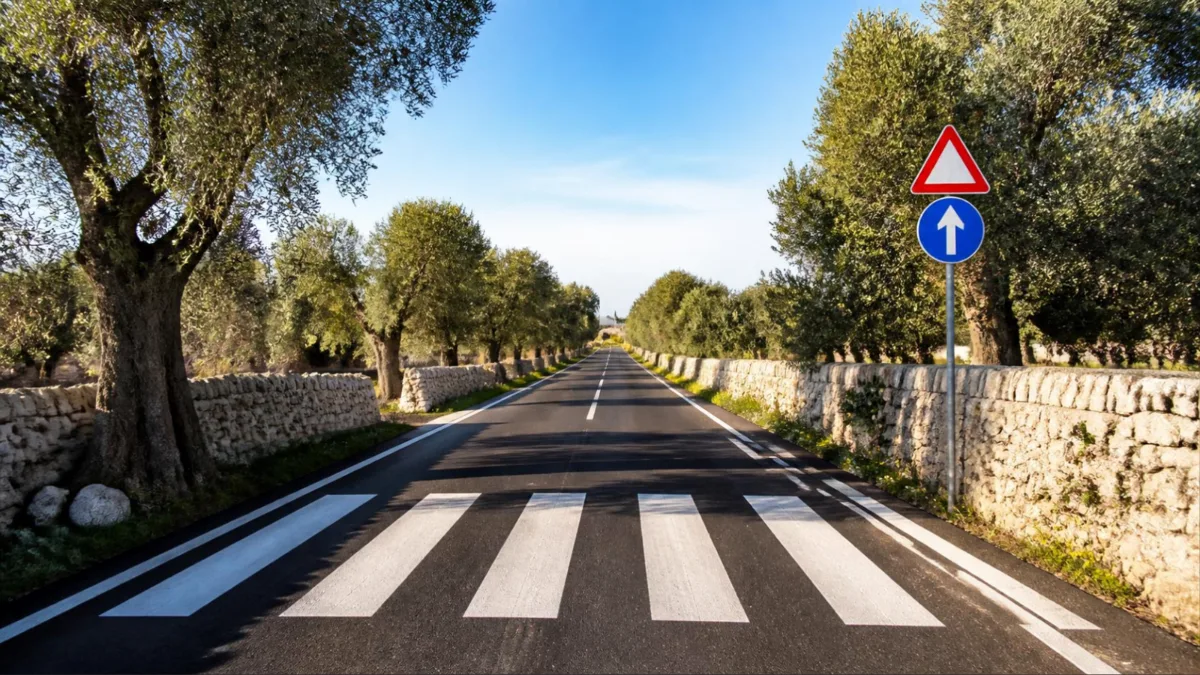 Strada pugliese con segnaletica Strada di campagna pugliese tra ulivi e muretti a secco, con strisce pedonali e segnali stradali sullo sfondo
